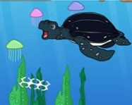 Diego tugathe sea turtle online dora játék